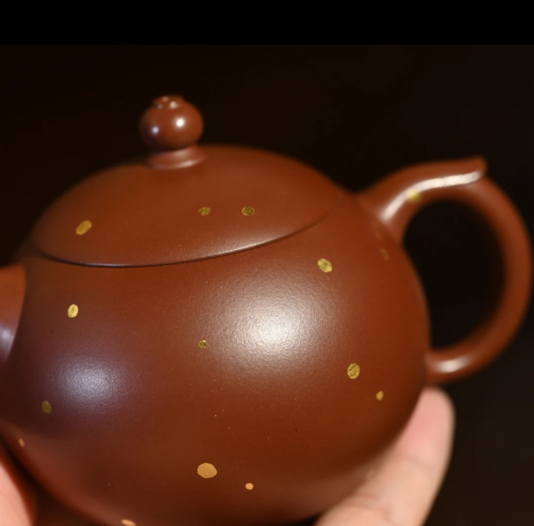 Baopu sajin 190cc - Fan's Pottery Studio Yixing Purple Clay Teapot Dasheng Longxue Sha clay