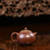 Baopu 190cc - Fan's Pottery Studio Crafts Teapots Yixing Purple Clay Teapot Dasheng Longxue Sha clay